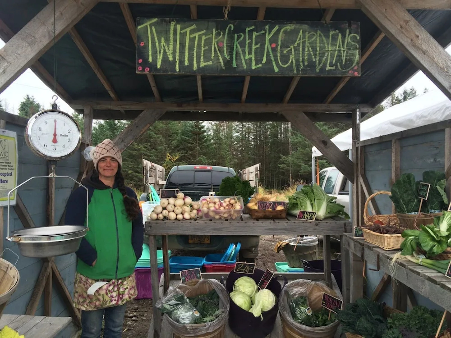 Alaska Adventure Cabins