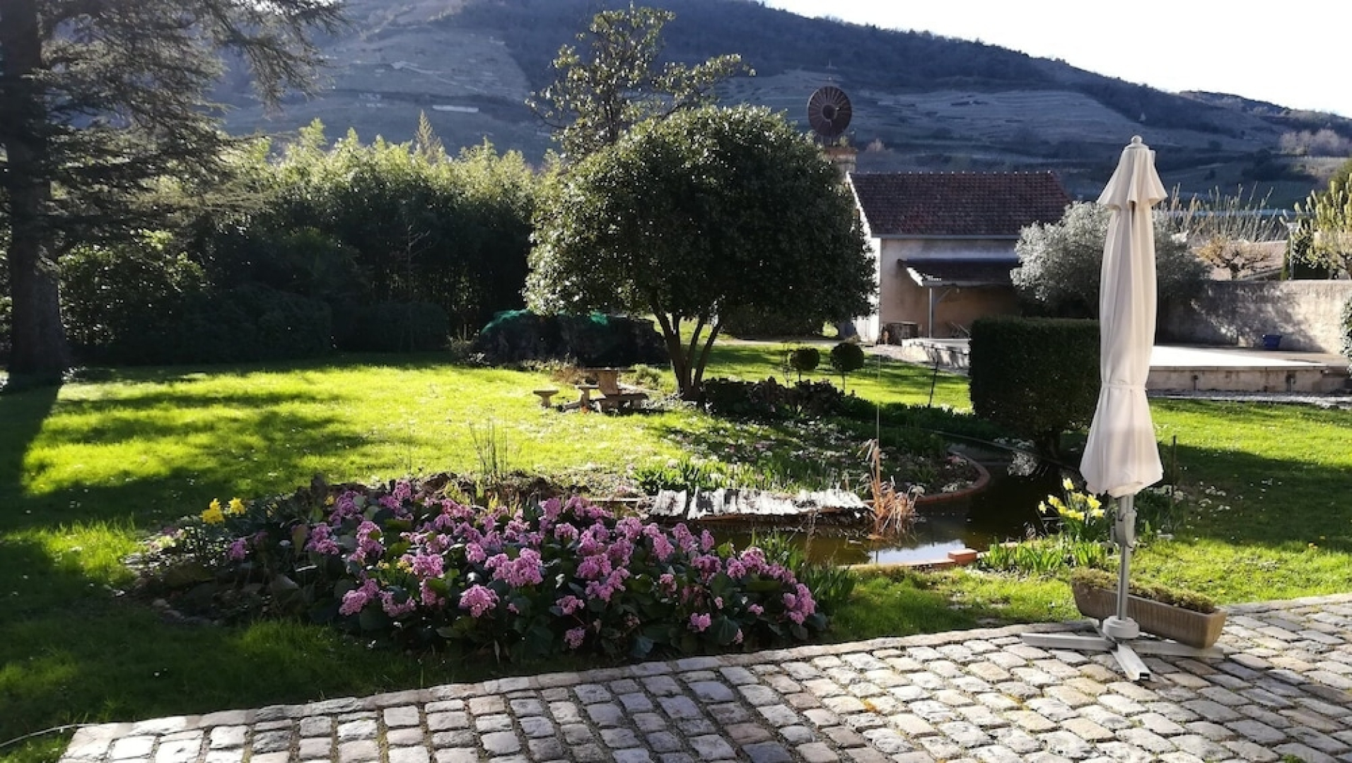 Les palmiers de mauves
