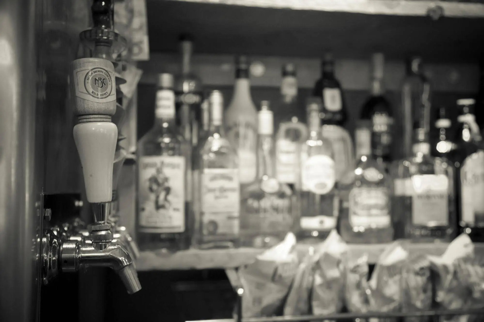 Raging Elk Adventure Lodging