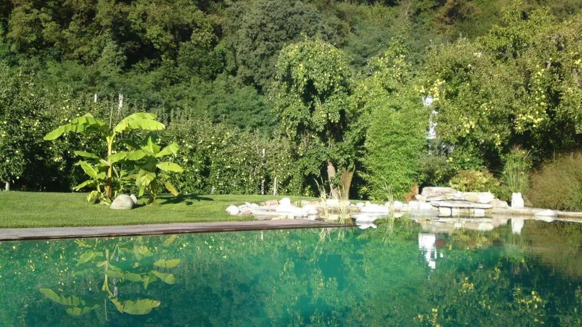 Kreuzwegerhofnals App 1sz Kaiser A