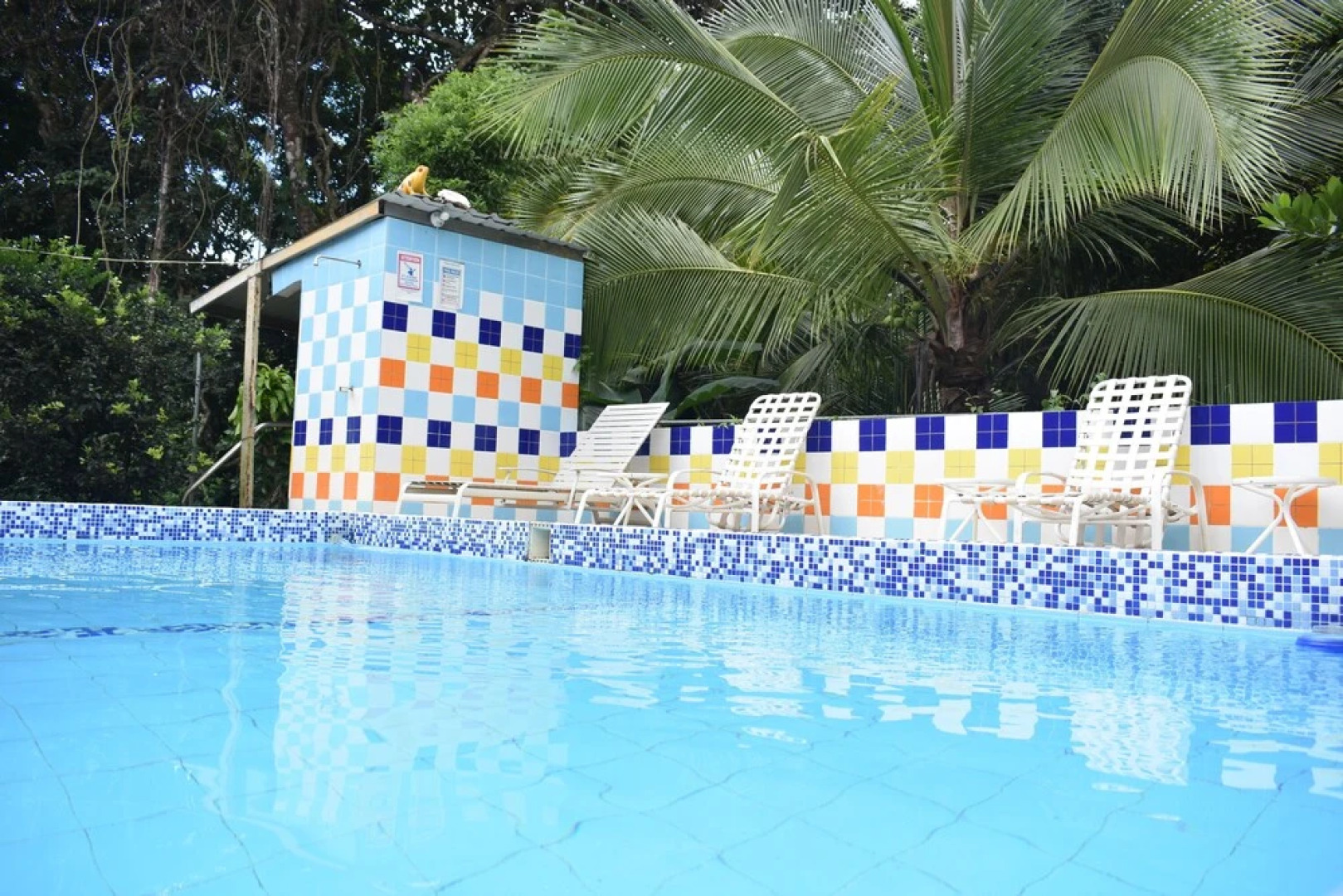 Rainforest Yasmin Hotel