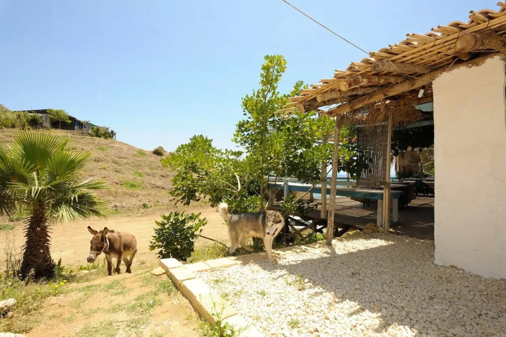 Apartment With one Bedroom in Realmonte, With Wonderful sea View, Shared Pool, Furnished Terrace - Near the Beach