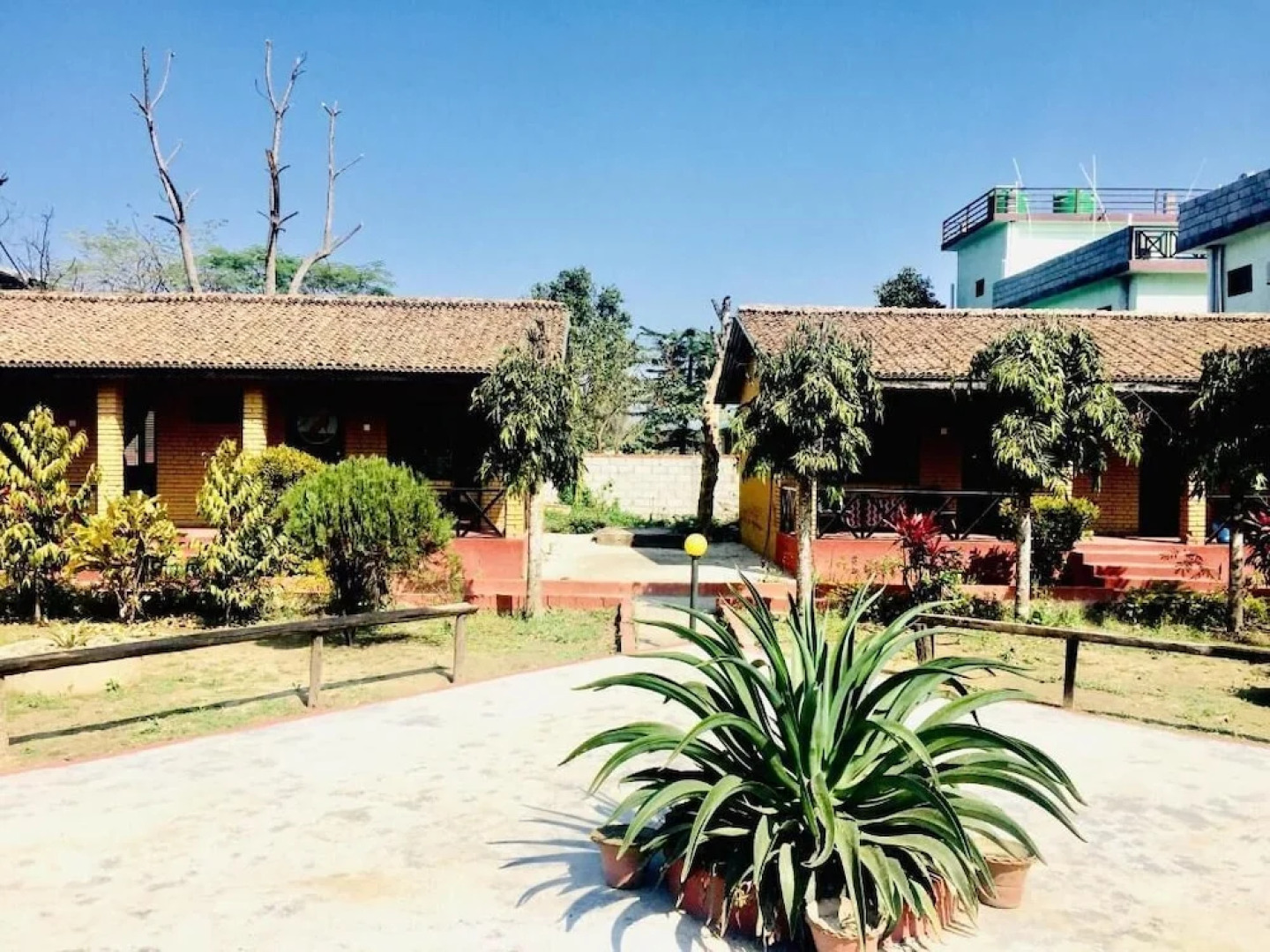 Safari Wildlife Lodge & Camp