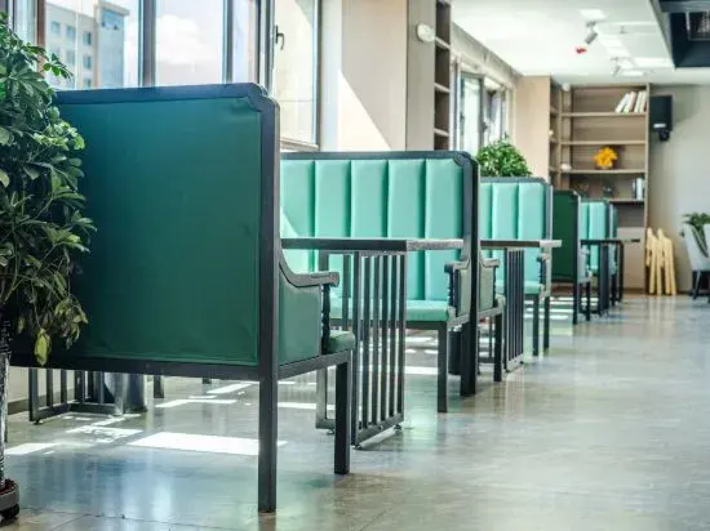 Holiday Inn Ale Thai Fan