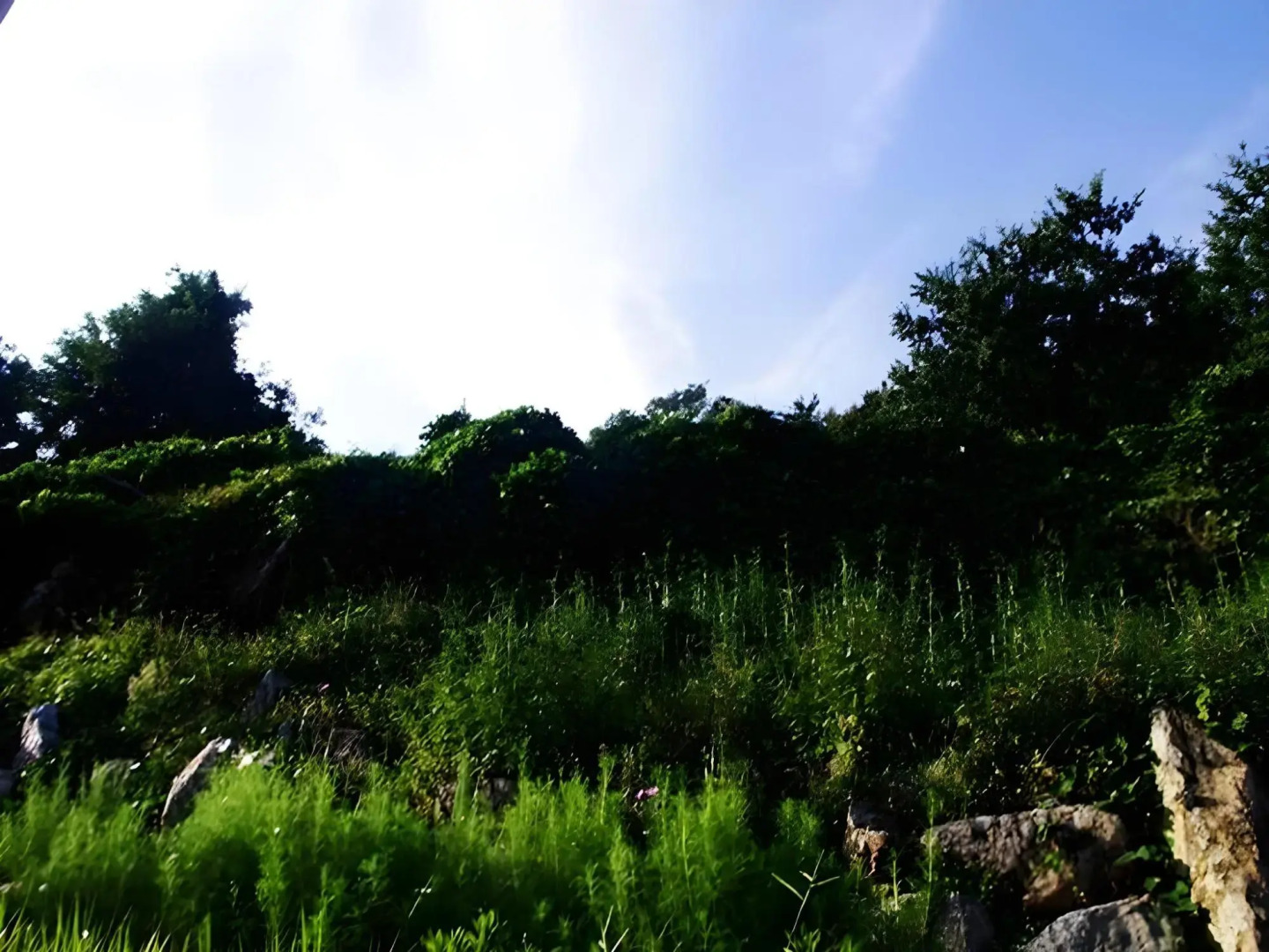 Namhae Somsatang Pension