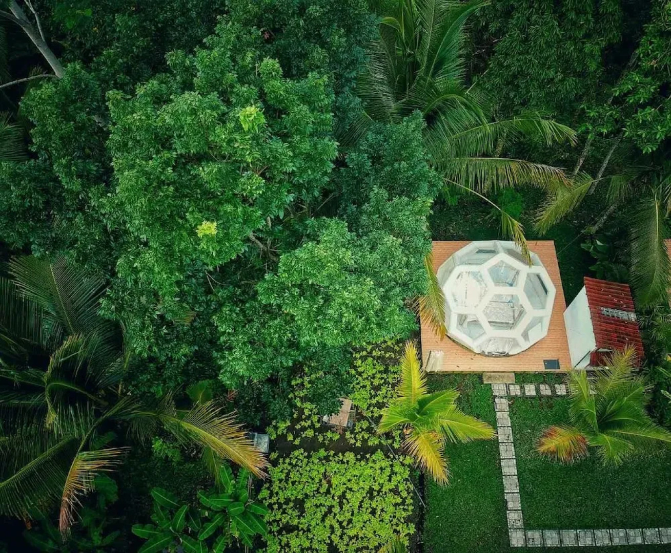 Jungle Bubble Lodge Ubud - Campsite