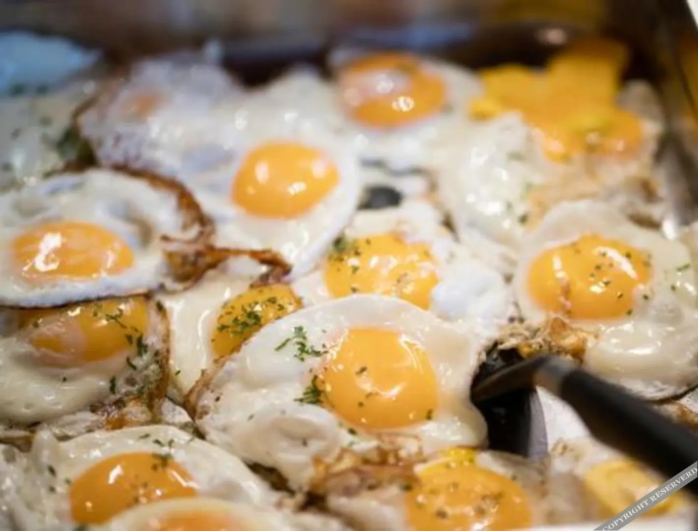 Hotel Herberg de Lindehoeve