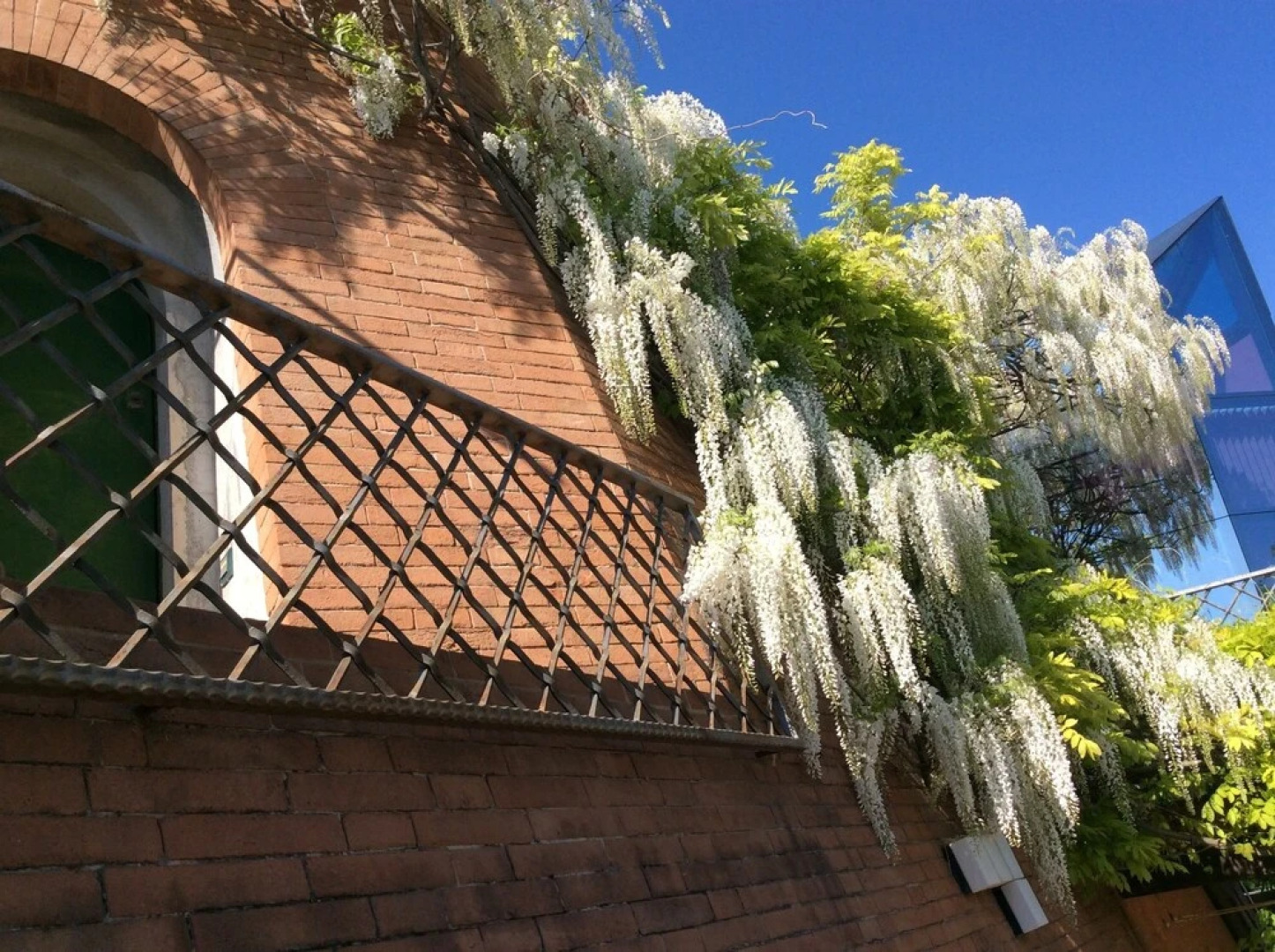 Il Podere Degli Ulivi