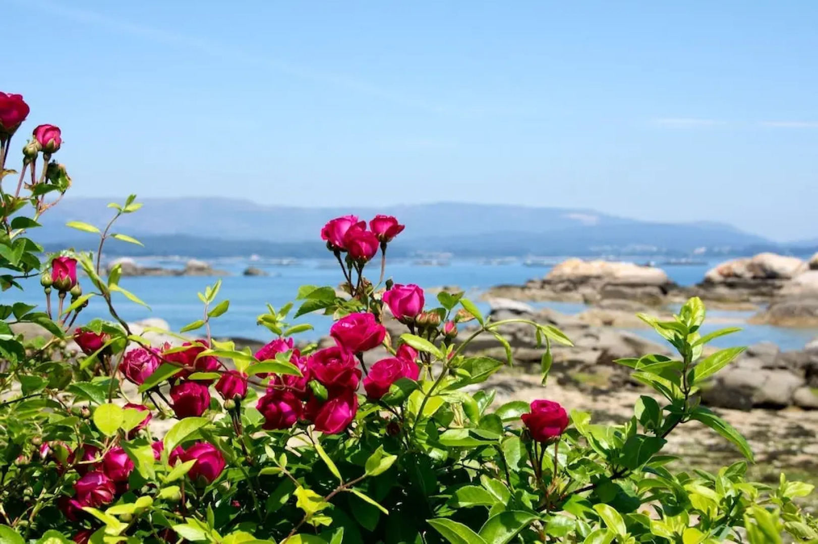 Hotel Playa Las Sinas