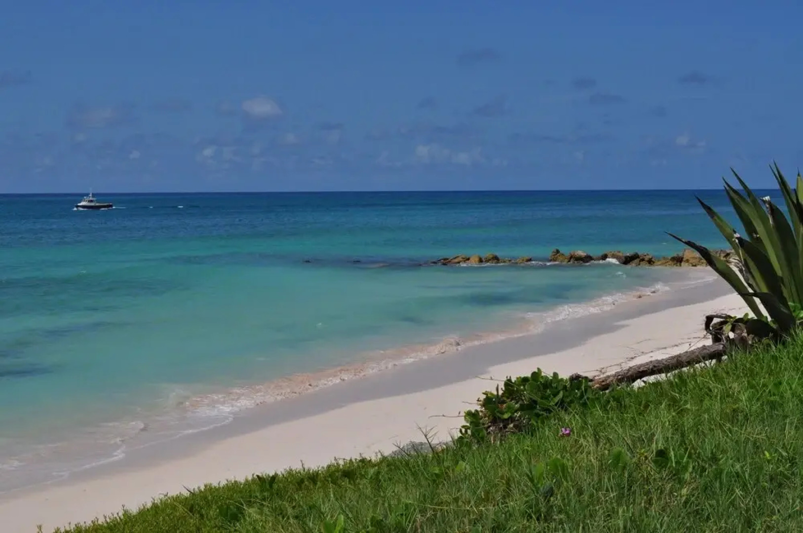 Yellow Bird Apartment