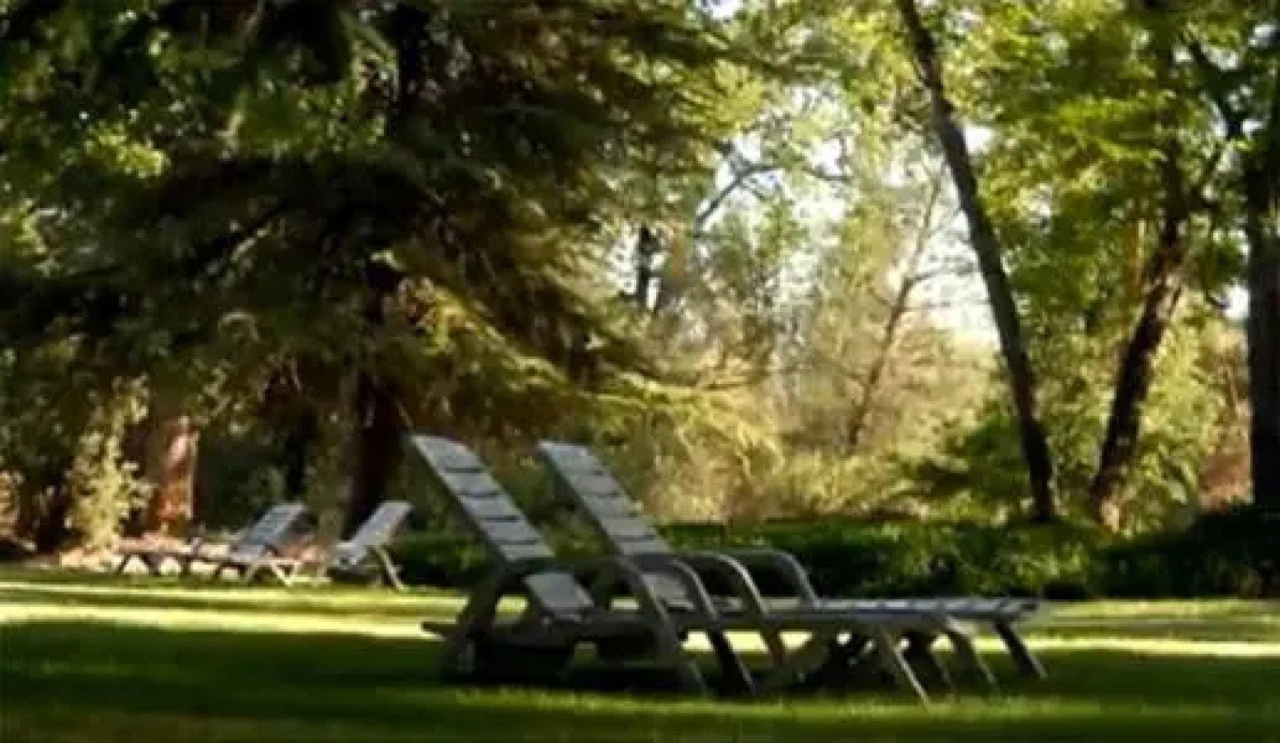 Queen's Inn By the River