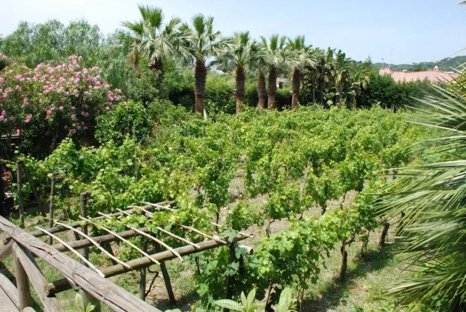 Residence Villa Cristina