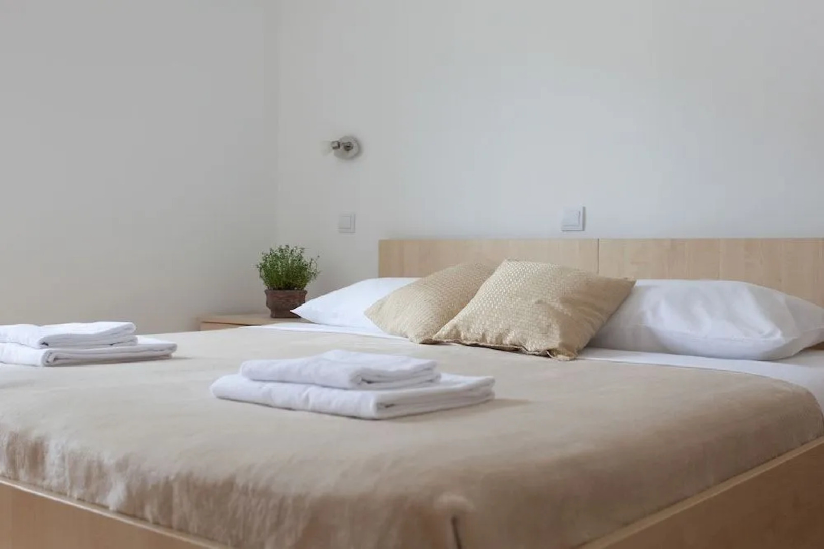 Hedera Estate Hedera A23