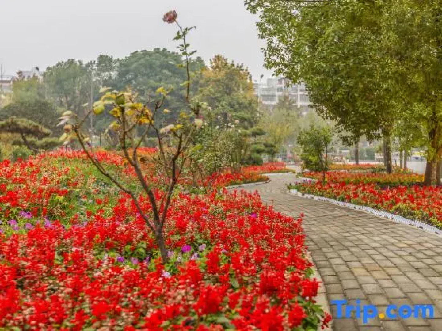 Berlin Jianguo International