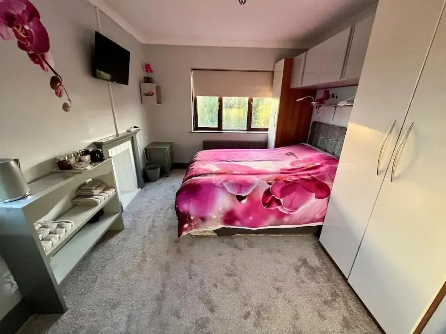 WILLOW RIDGE - a large country house with 3 rental rooms