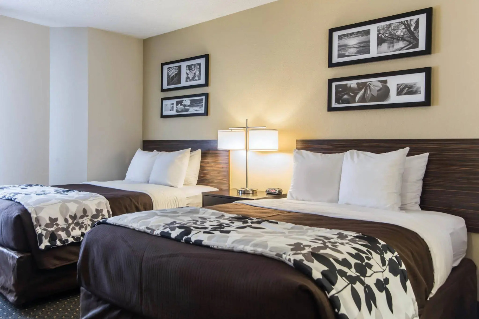 Sleep Inn Florence North