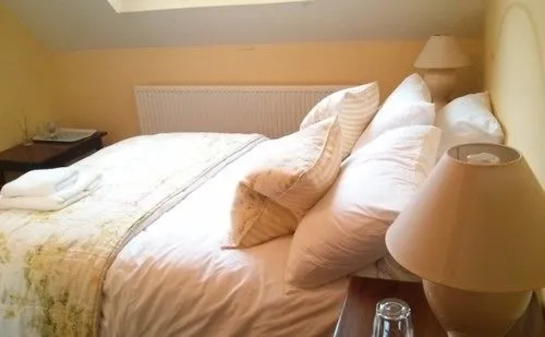 The Geese and Fountain