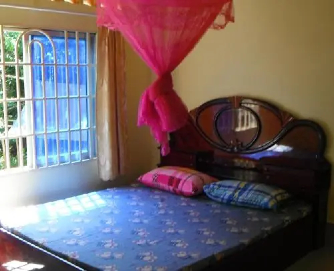 Clouded Leopard Guesthouse