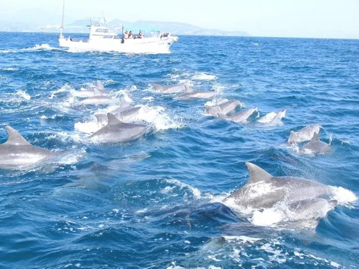 Minshuku Tairyoumaru