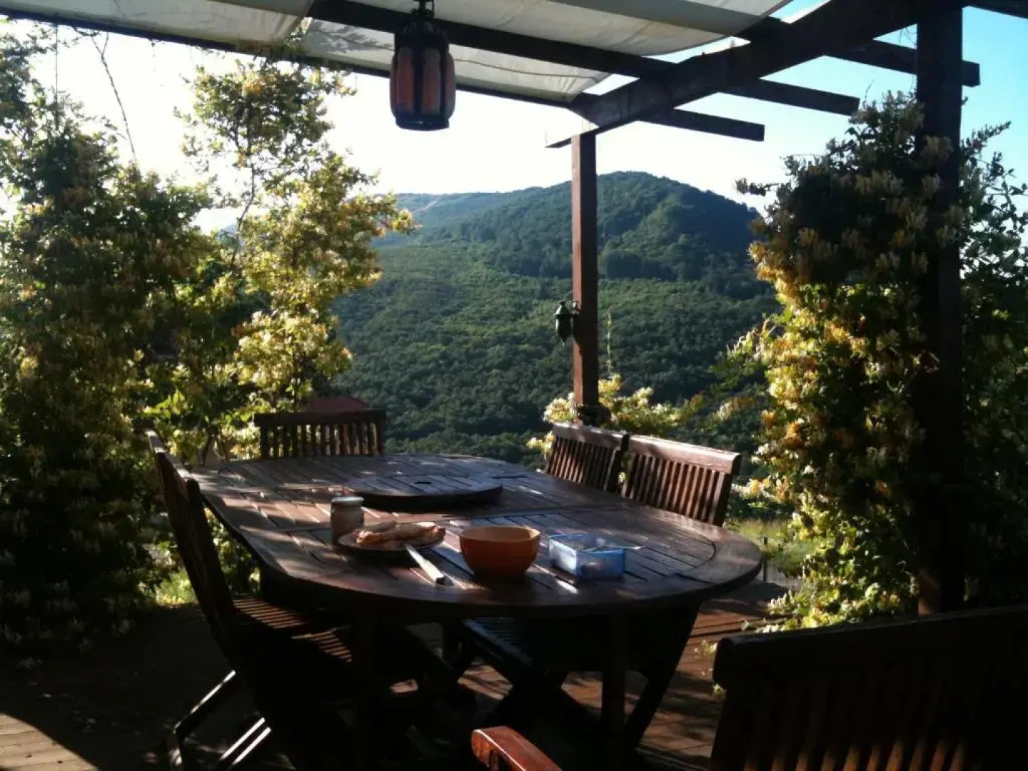 Panorama Vegapansion