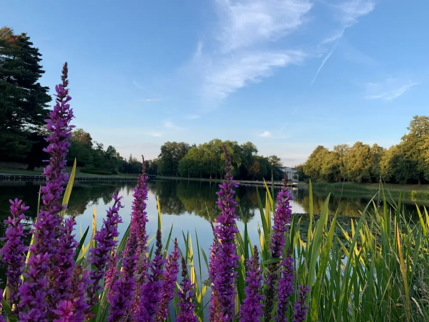 Hotel Landhaus Wörlitzer Hof