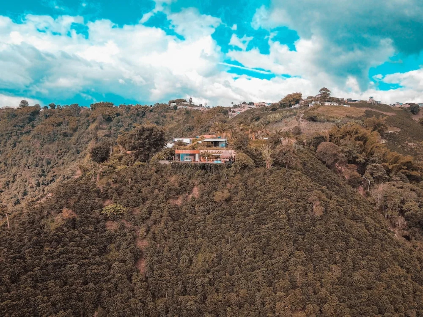 Atardeceres del cafe