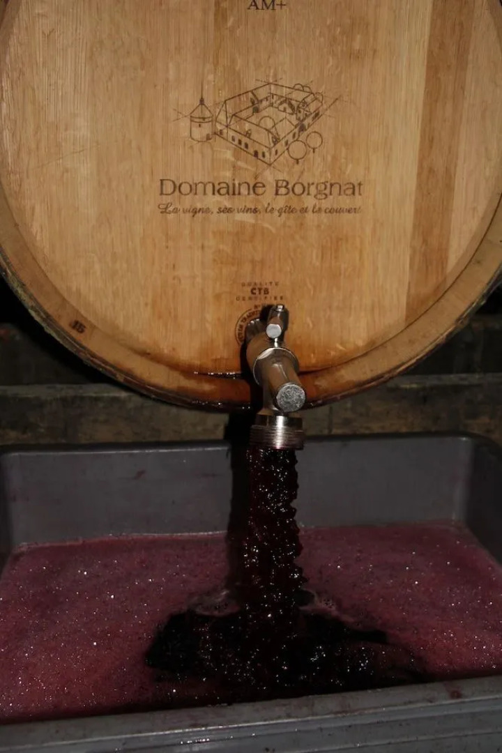 Domaine Borgnat