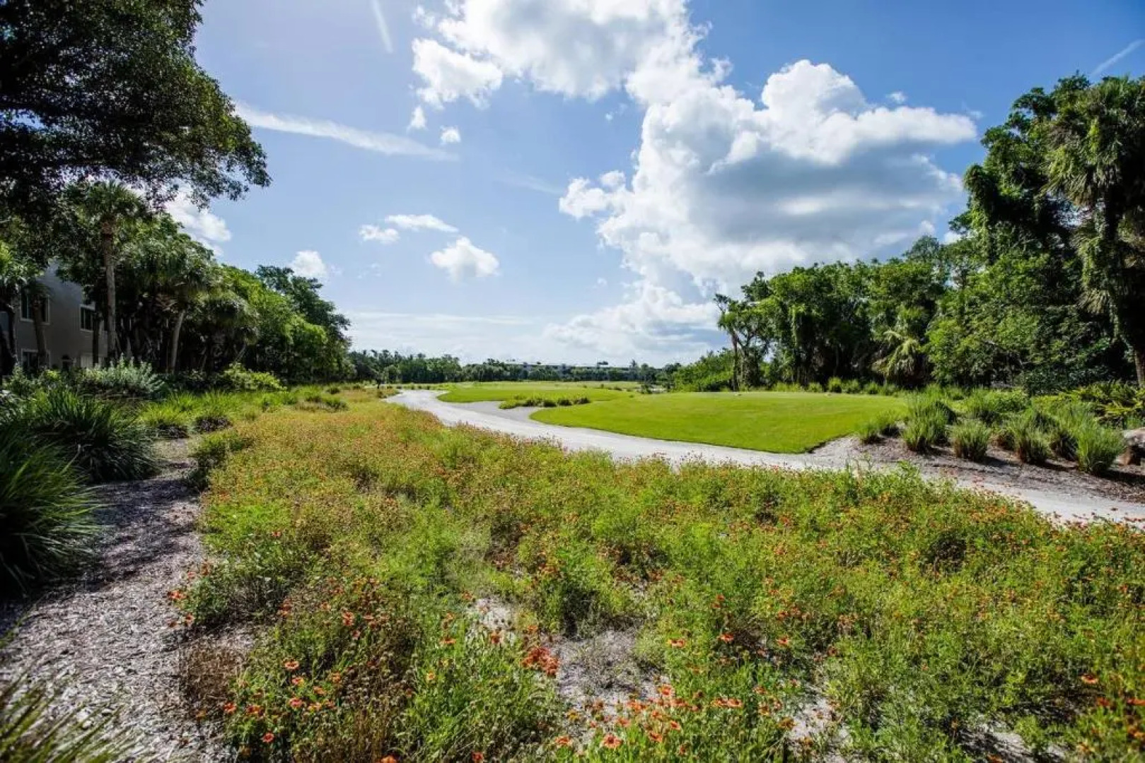 Ibis At The Sanctuary A302