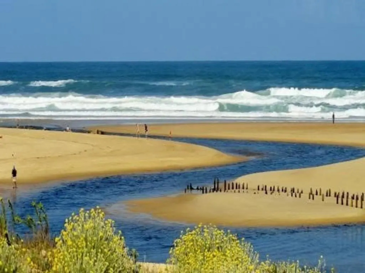 Appartement Moliets-et-Maa, 2 pièces, 4 personnes - FR-1-379-113