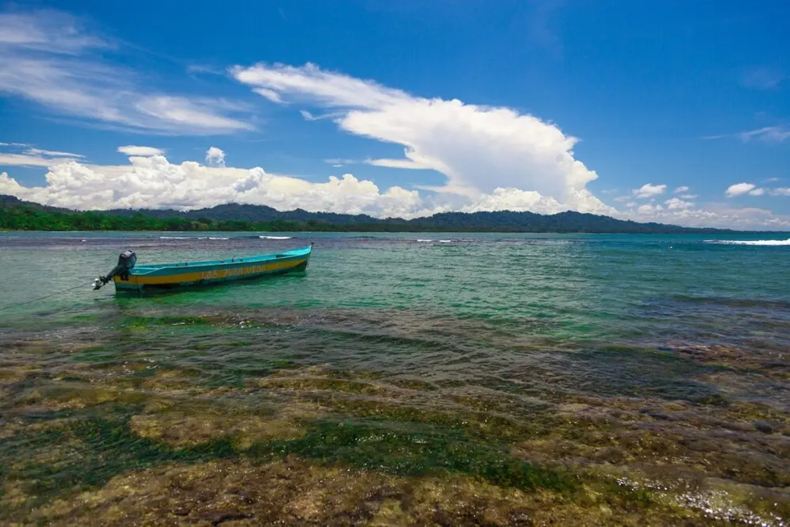 Gigi Brown Villa Frida Puerto Viejo