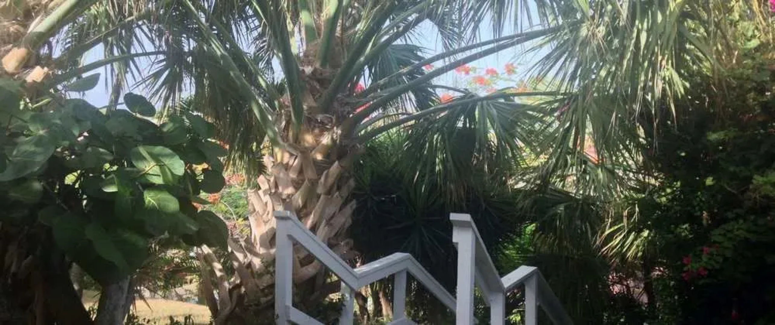 Harbour Beach Villas