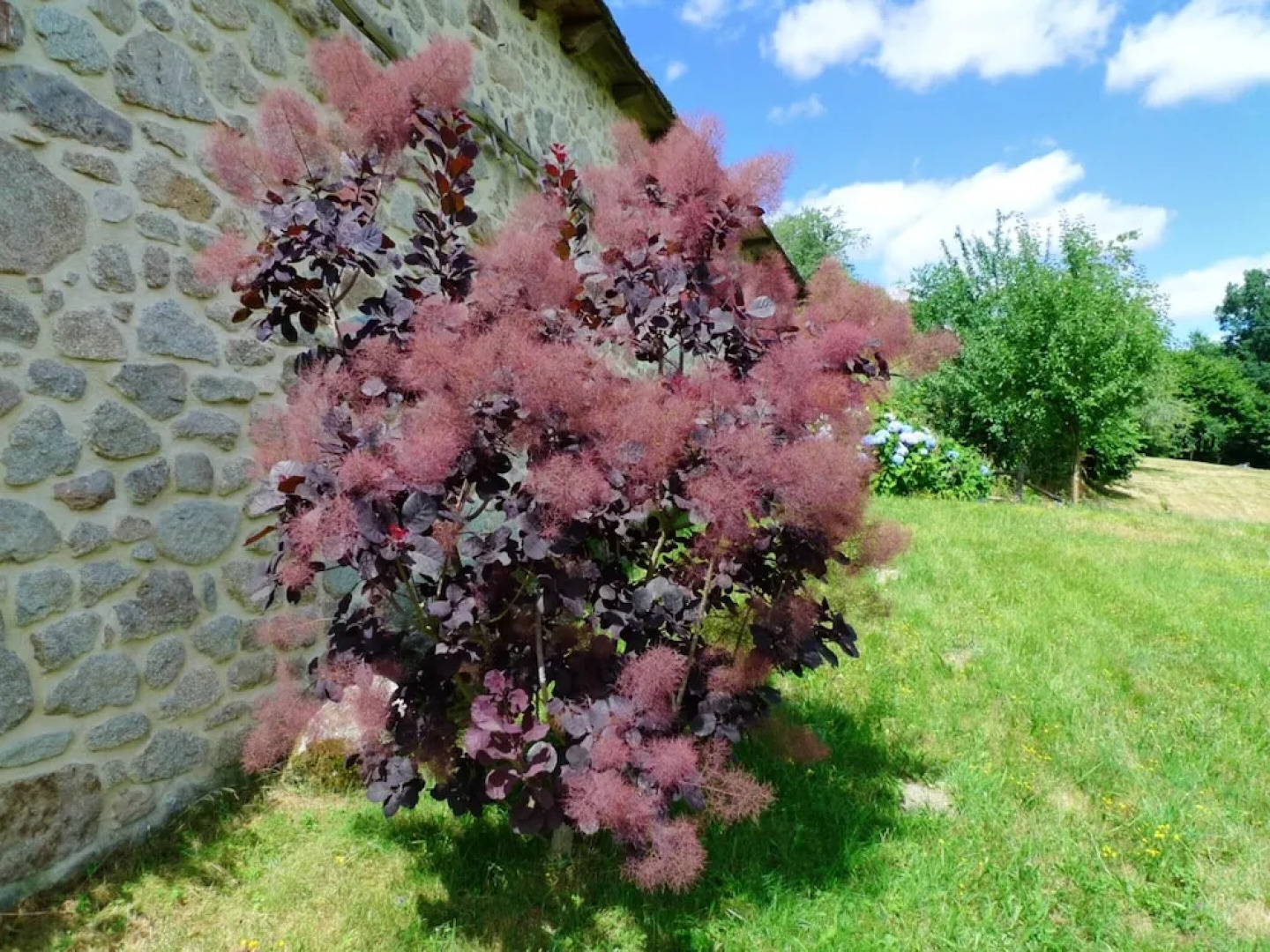 House With 3 Bedrooms in Senezergues, With Wonderful Mountain View, Fu