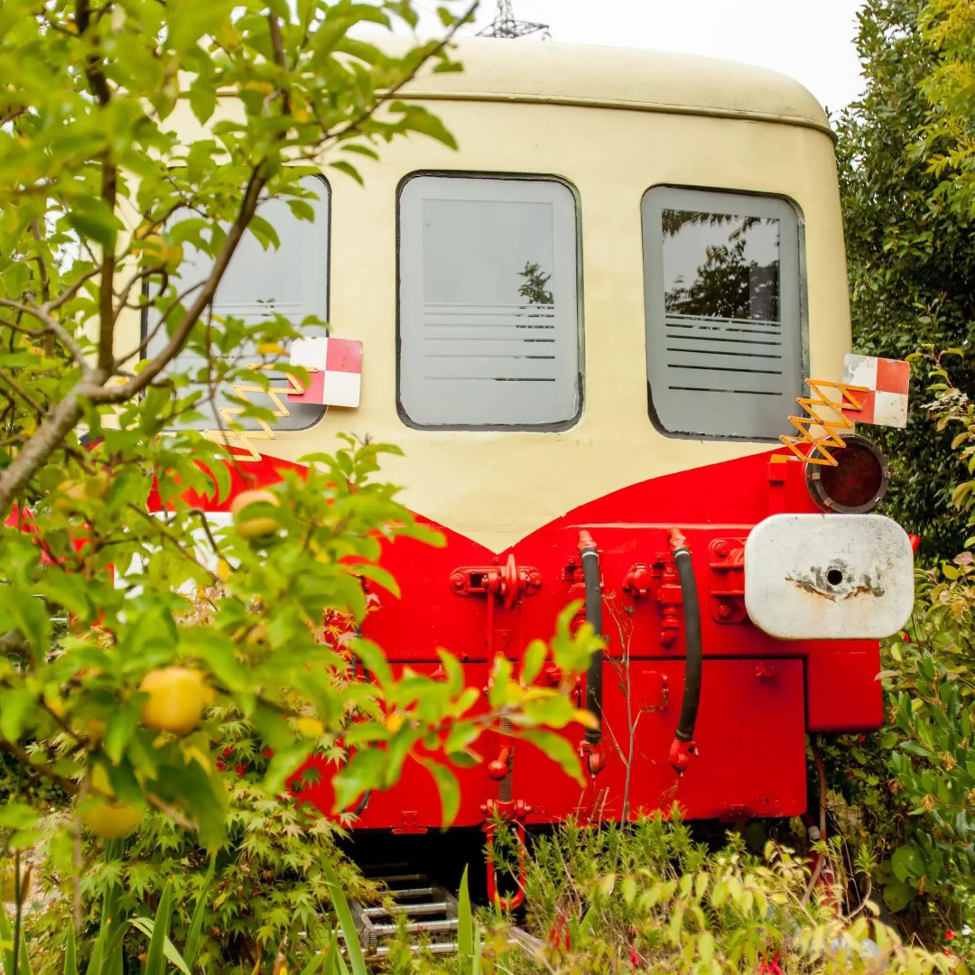 Les Gîtes du Picasso