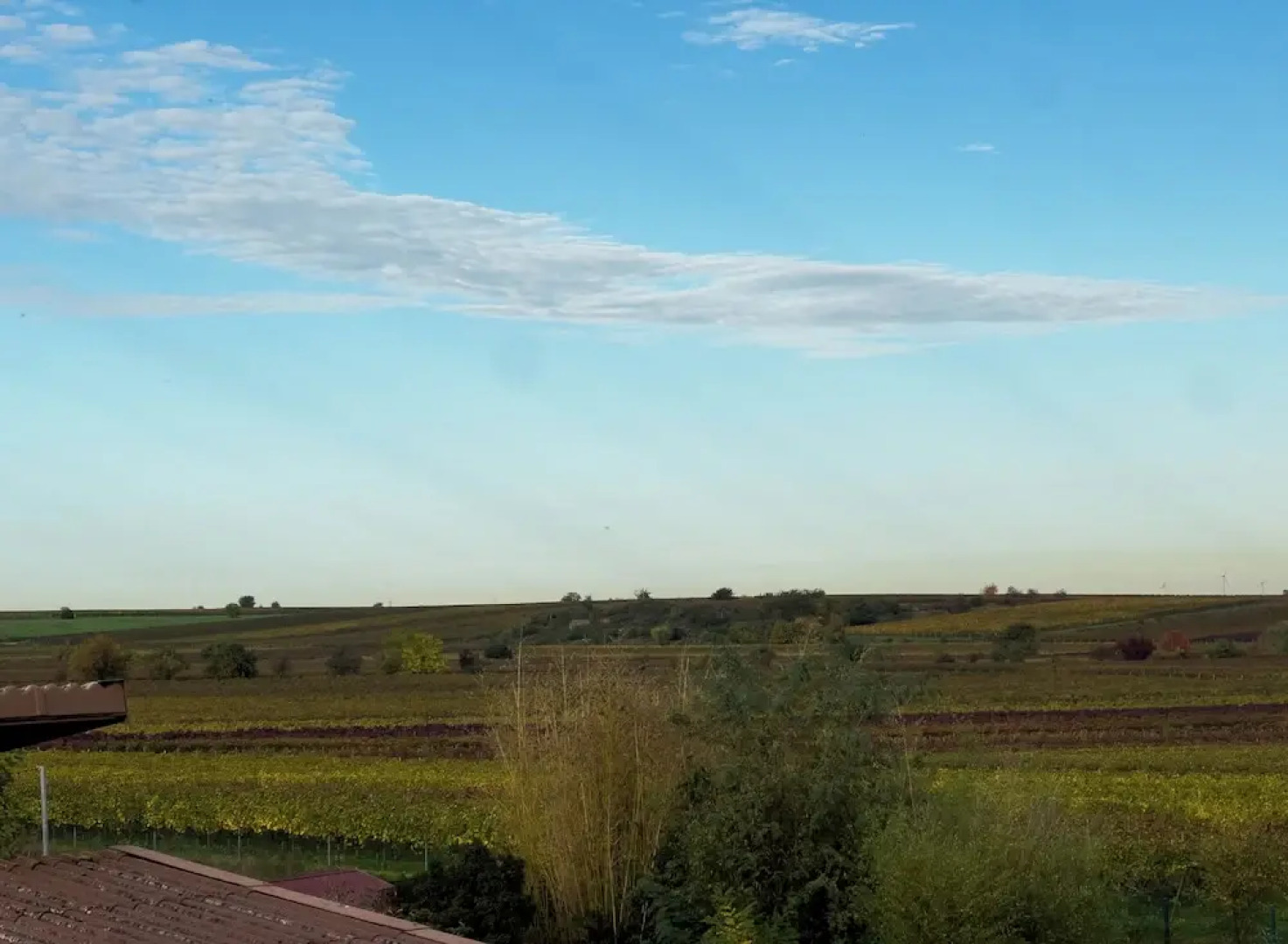 Hotel & Restaurant Traube