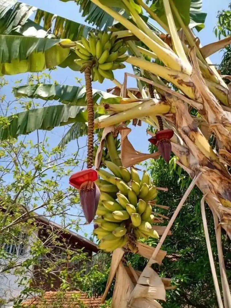 Pousada Casablanca Águas de São Pedro