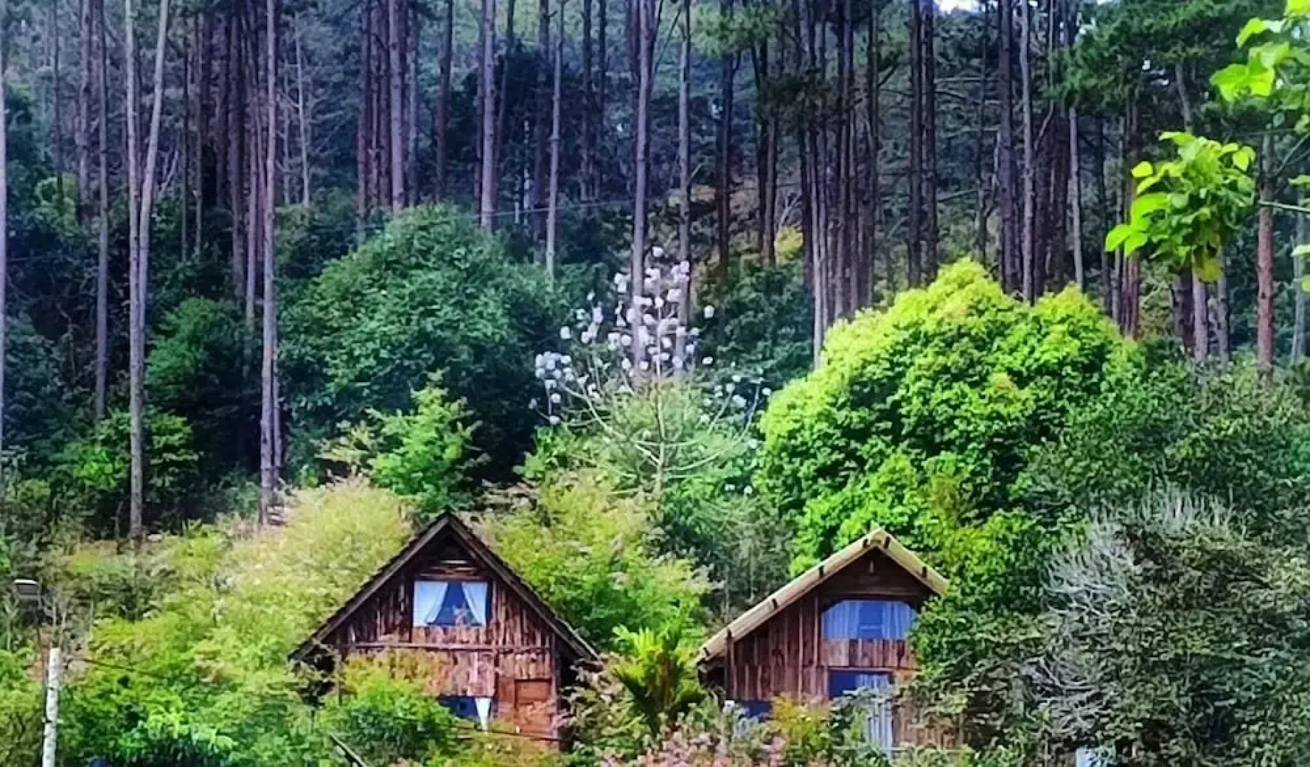 To Chim Ri Homestay Mang Đen