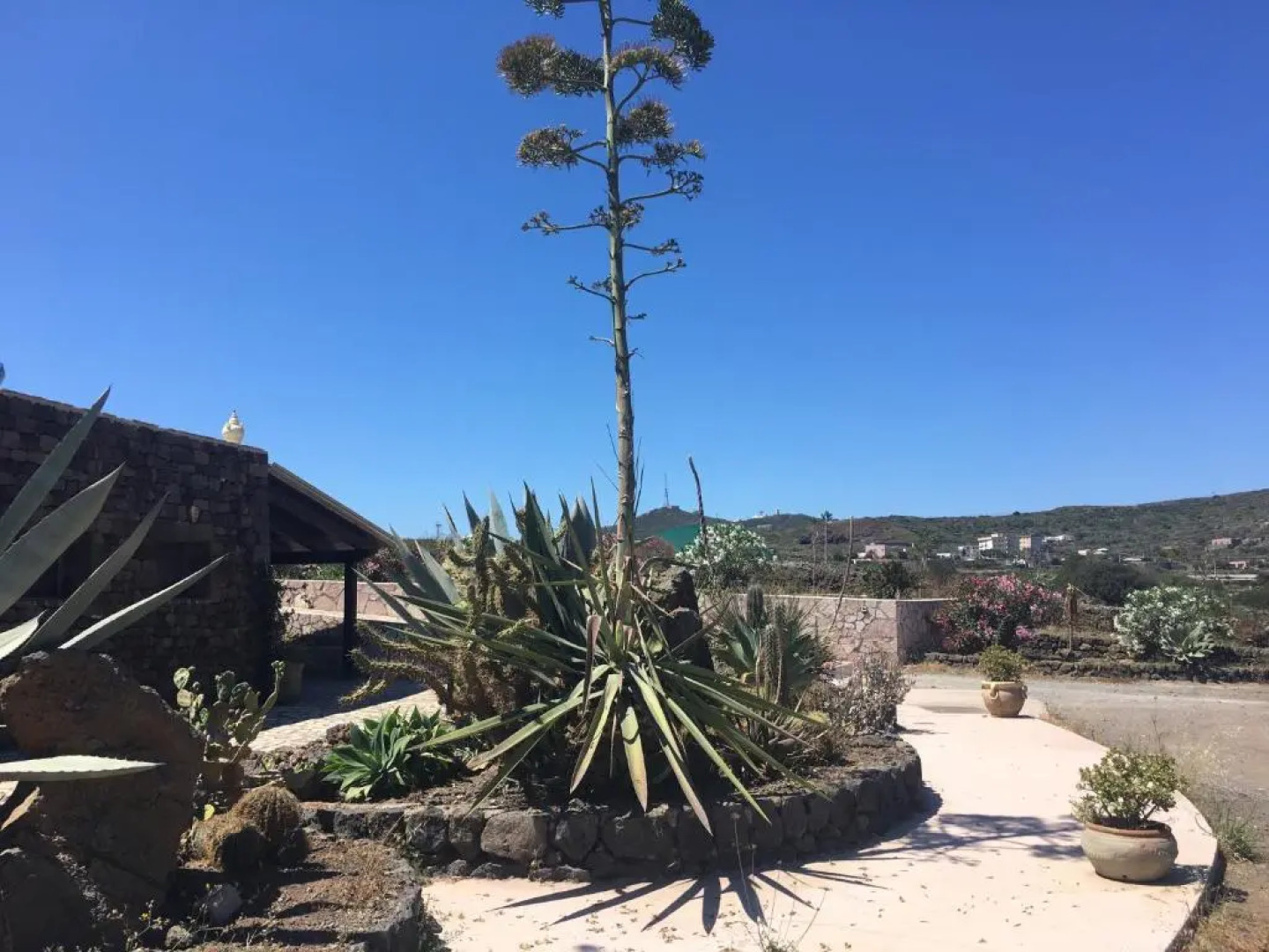 Appartamentino Jasmine