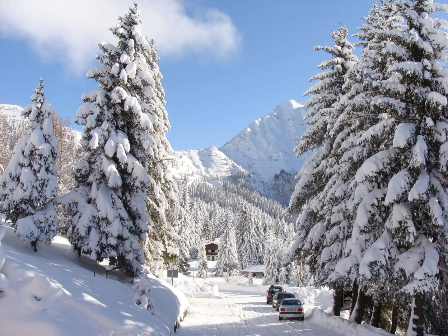 Albergo Ristorante Pineta