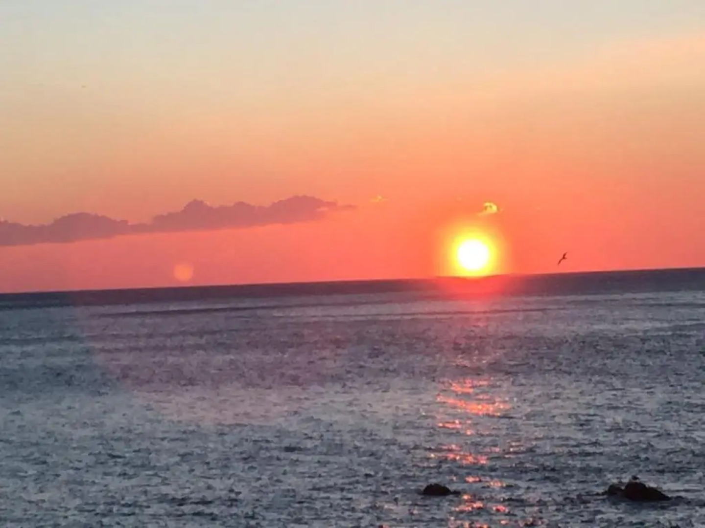 Tavernetta 109 Terrazza Tra Le 5 Terre E Portofino