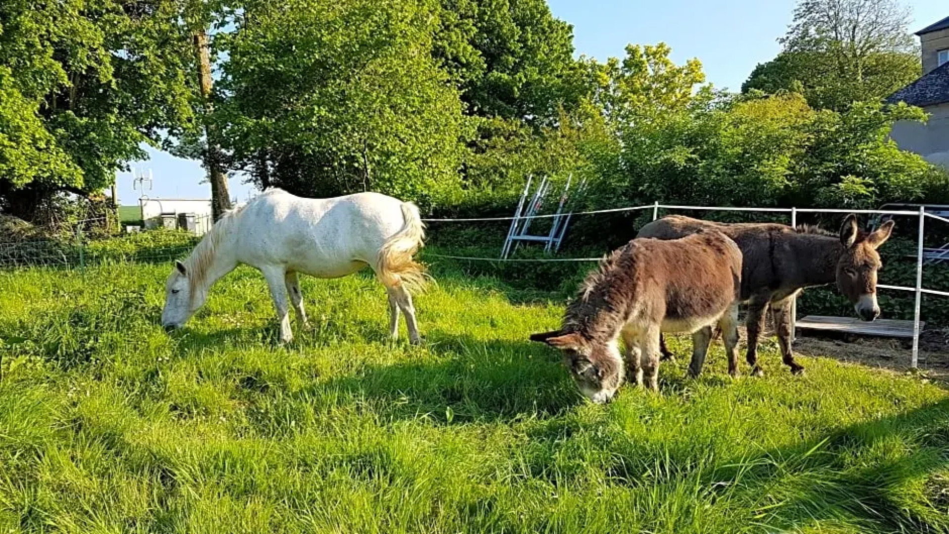 La Bergerie du Mesnil