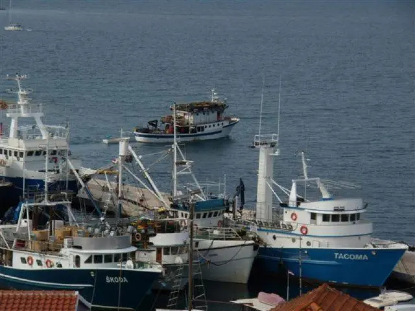 Apartment Zelenčić