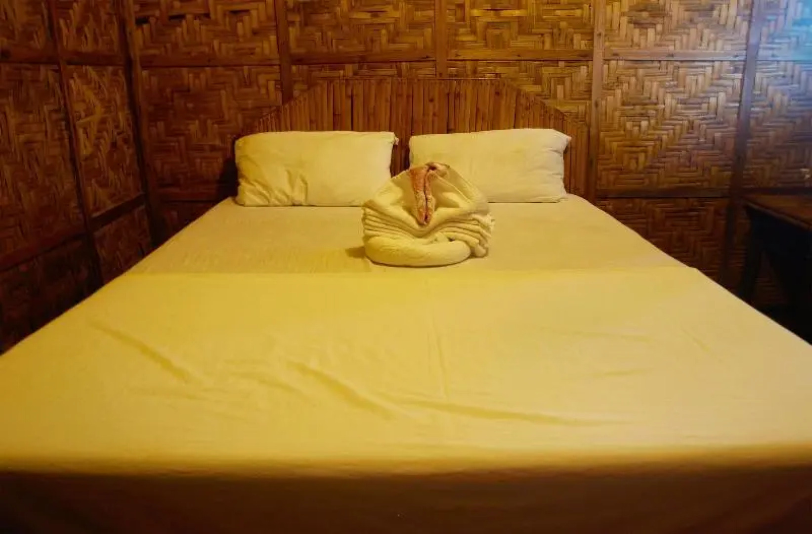 The Sharks Tail Dive Center