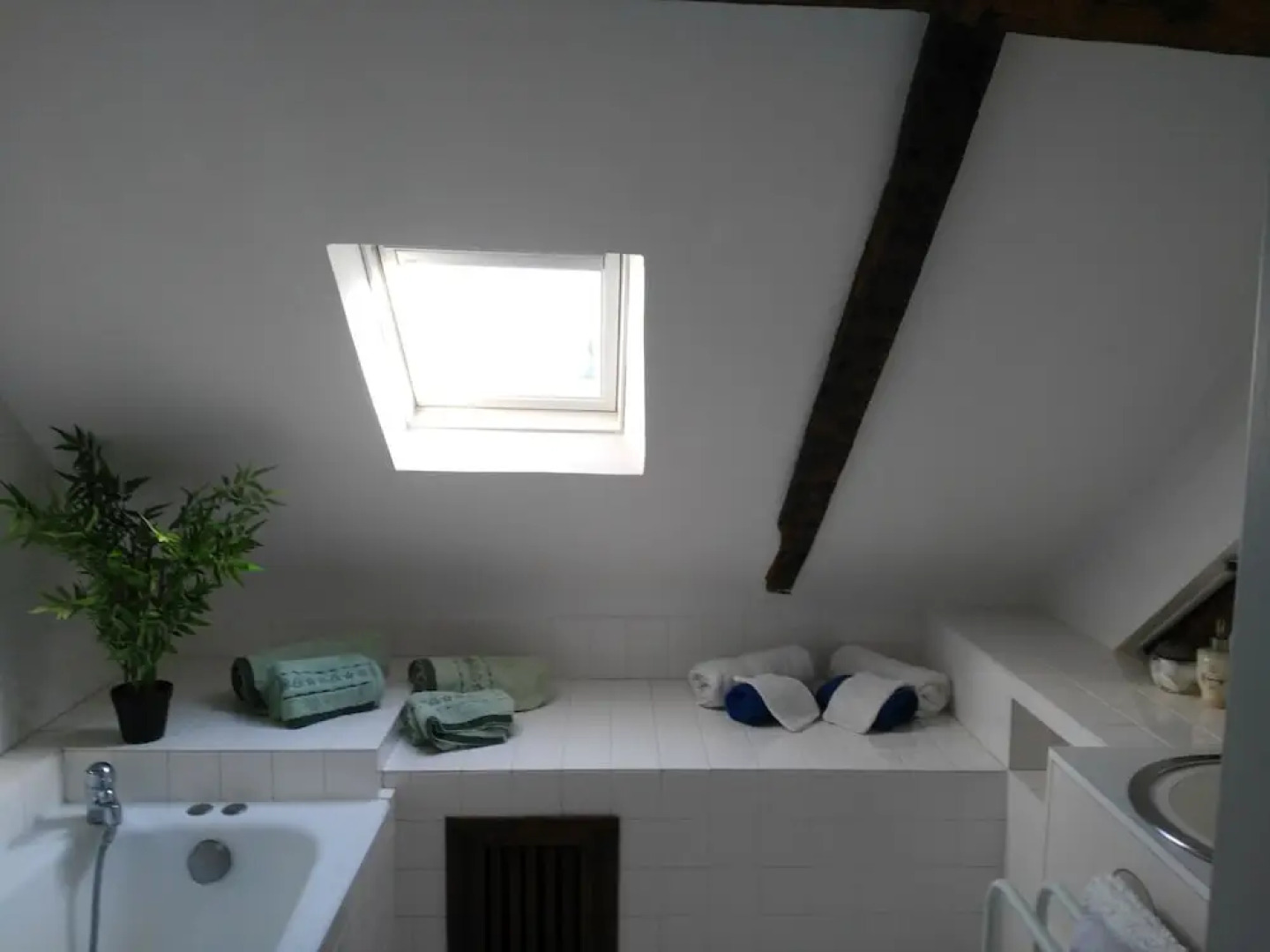 Les Camélias des Demoiselles de Pallus