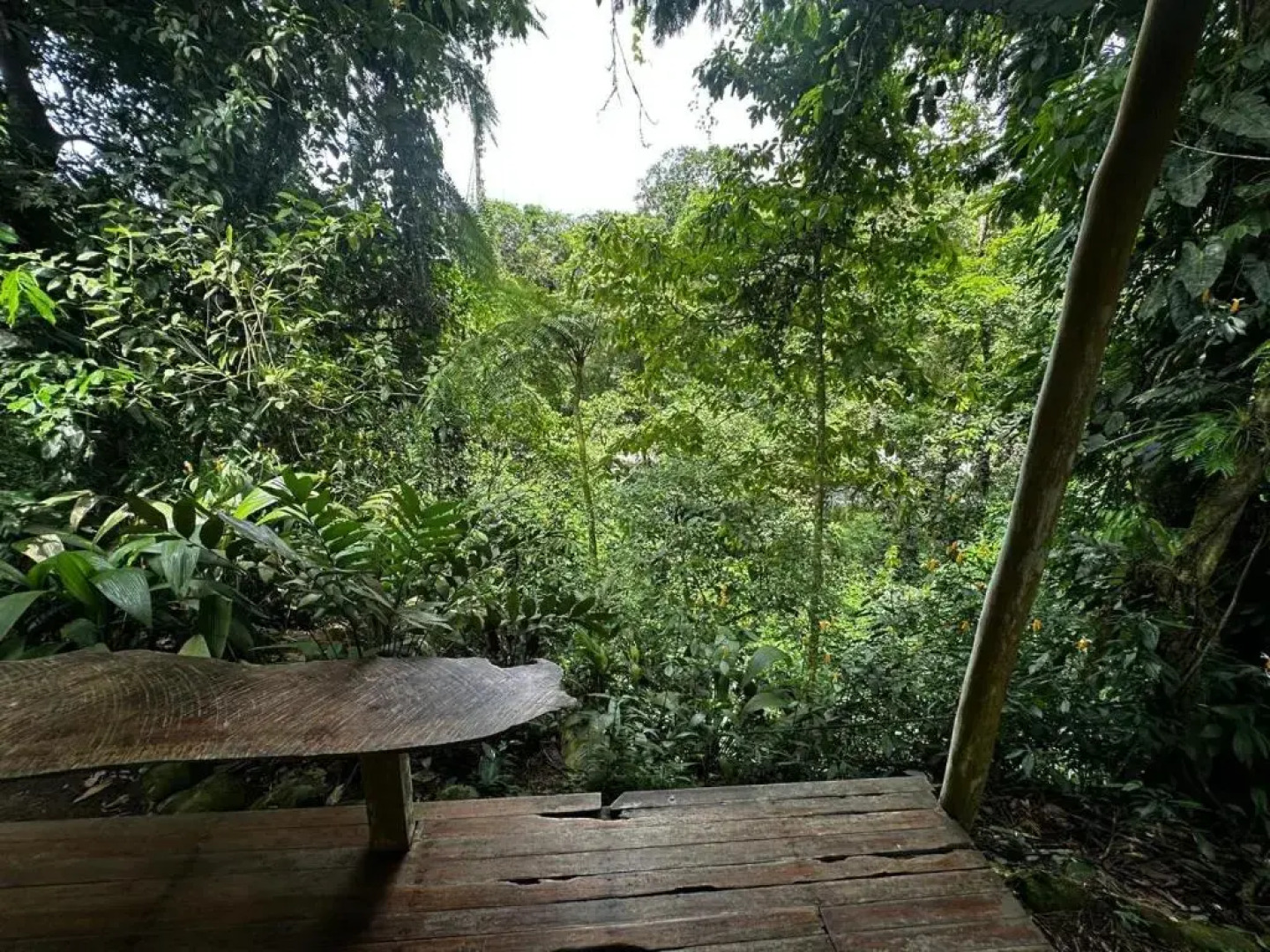 Casa Rio Blanco Eco Friendly B&B