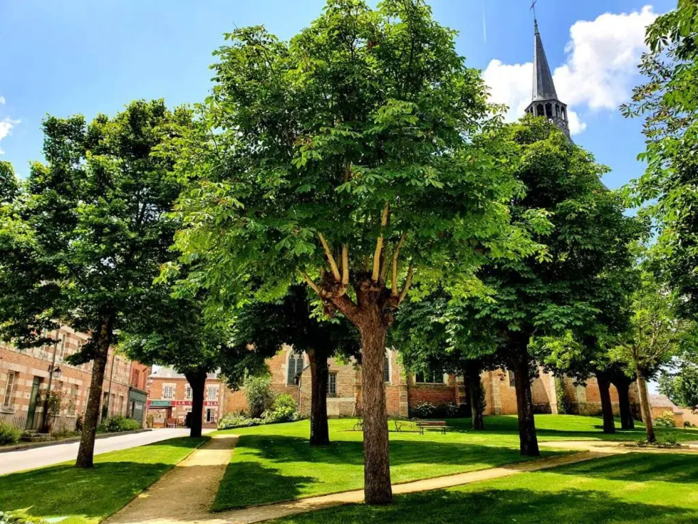 Hotel  Restaurant La Croix Blanche De Sologne
