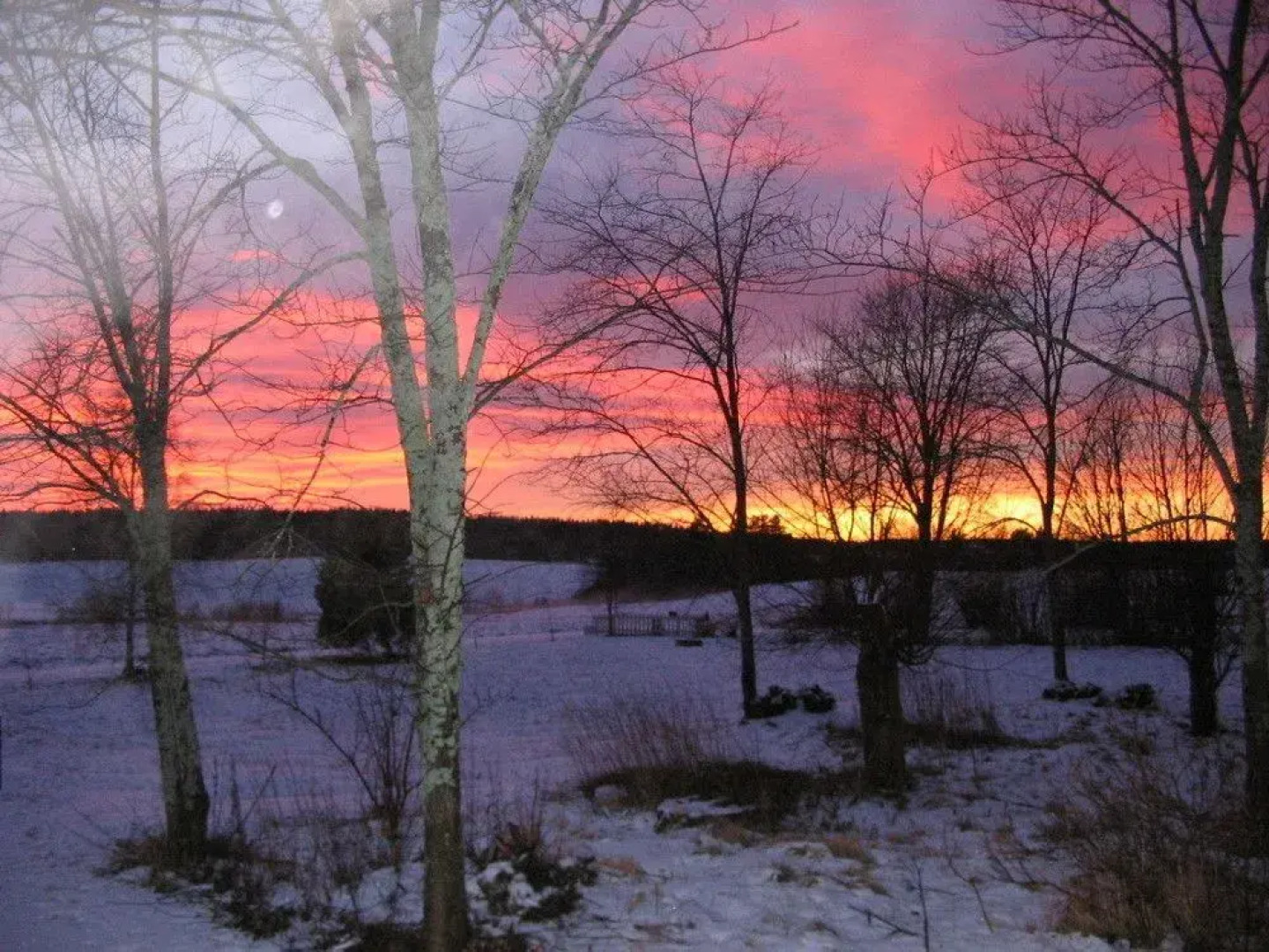 Pehtoorin-pirtti countryhome