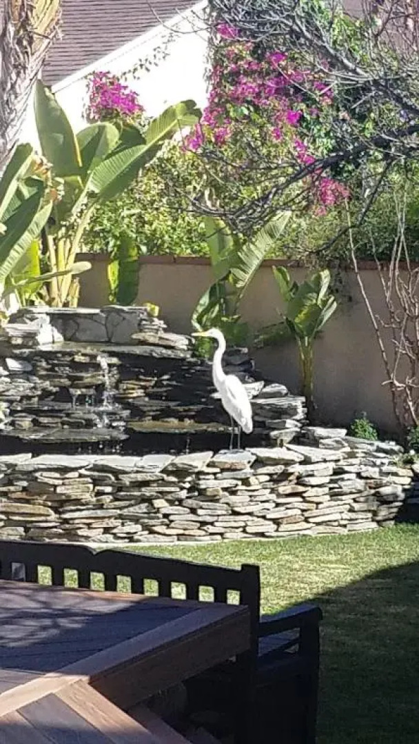 Cozy 2 Bedroom Guesthouse In Beverly Hills