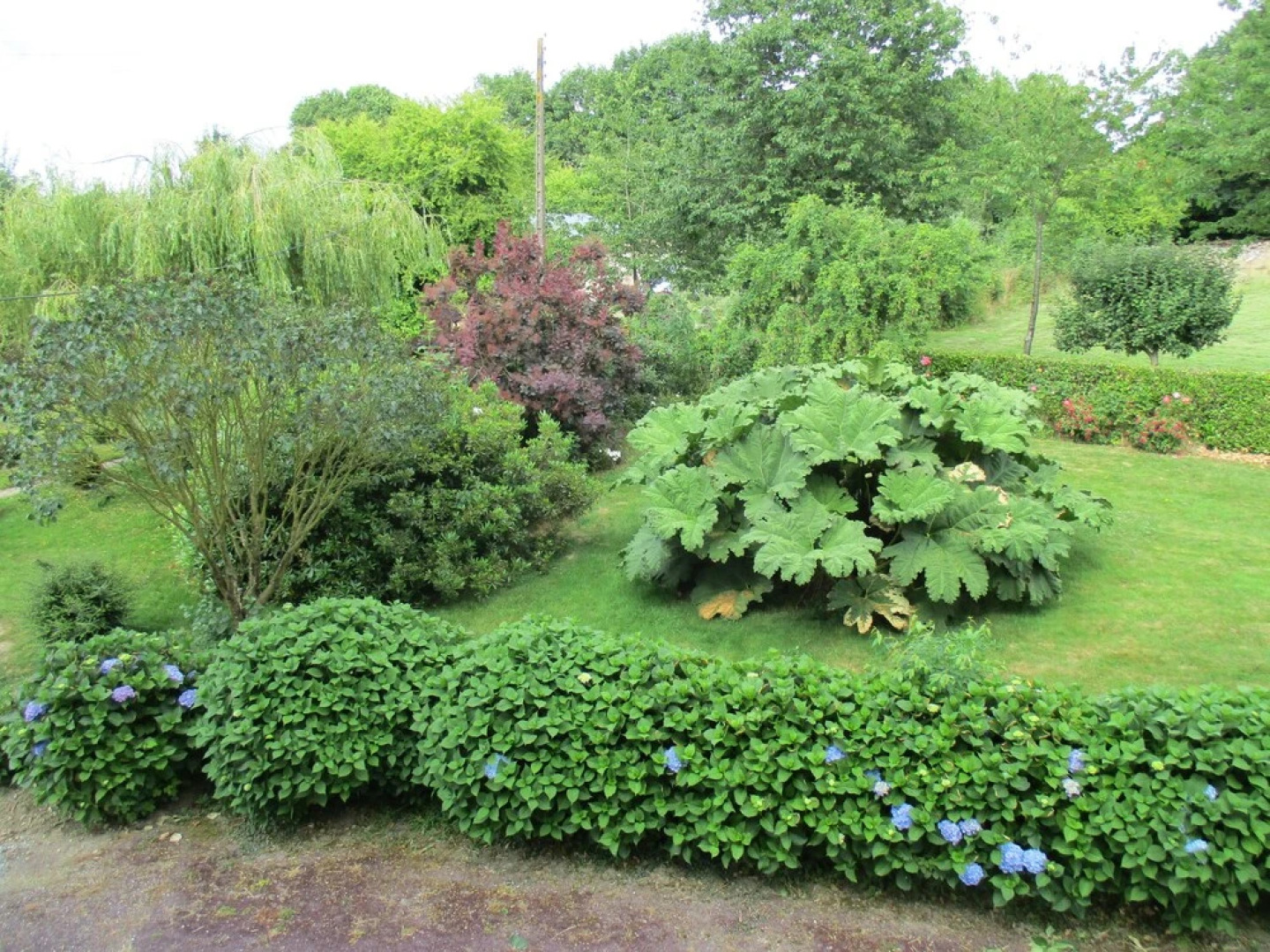 Chateau de la Hersonnière