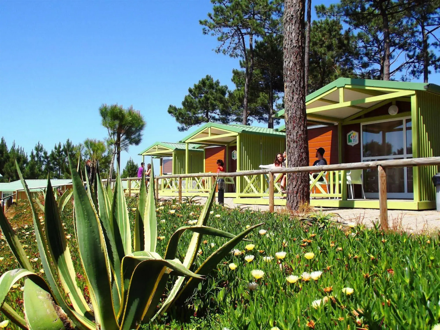 Ohai Nazaré Outdoor Resorts