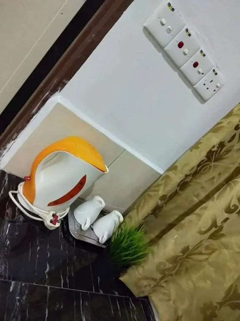 Belebar Studio Room Taman Negara Pahang Malaysia